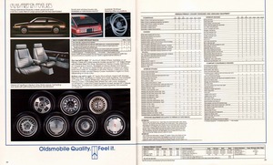 1987 Oldsmobile Small Size-24-25.jpg
